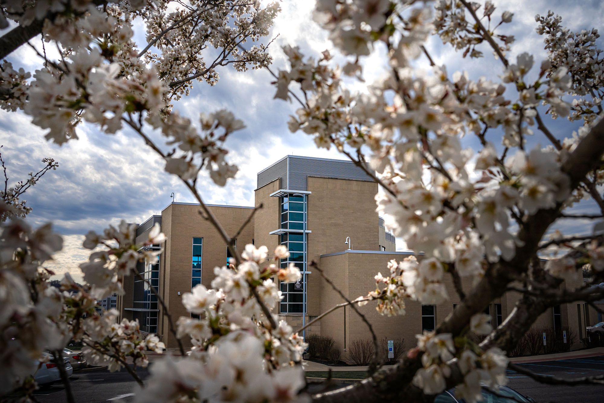 Spring flowers around the Advanced Technology Center.